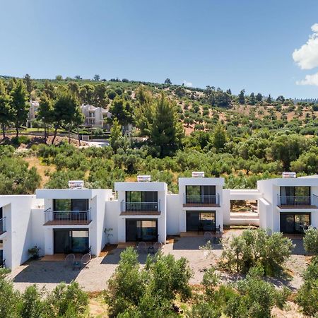 Olea Villas By Halu!, Cozy Villa In Nikiti 라고만드라 외부 사진