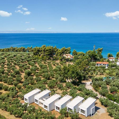 Olea Villas By Halu!, Cozy Villa In Nikiti 라고만드라 외부 사진