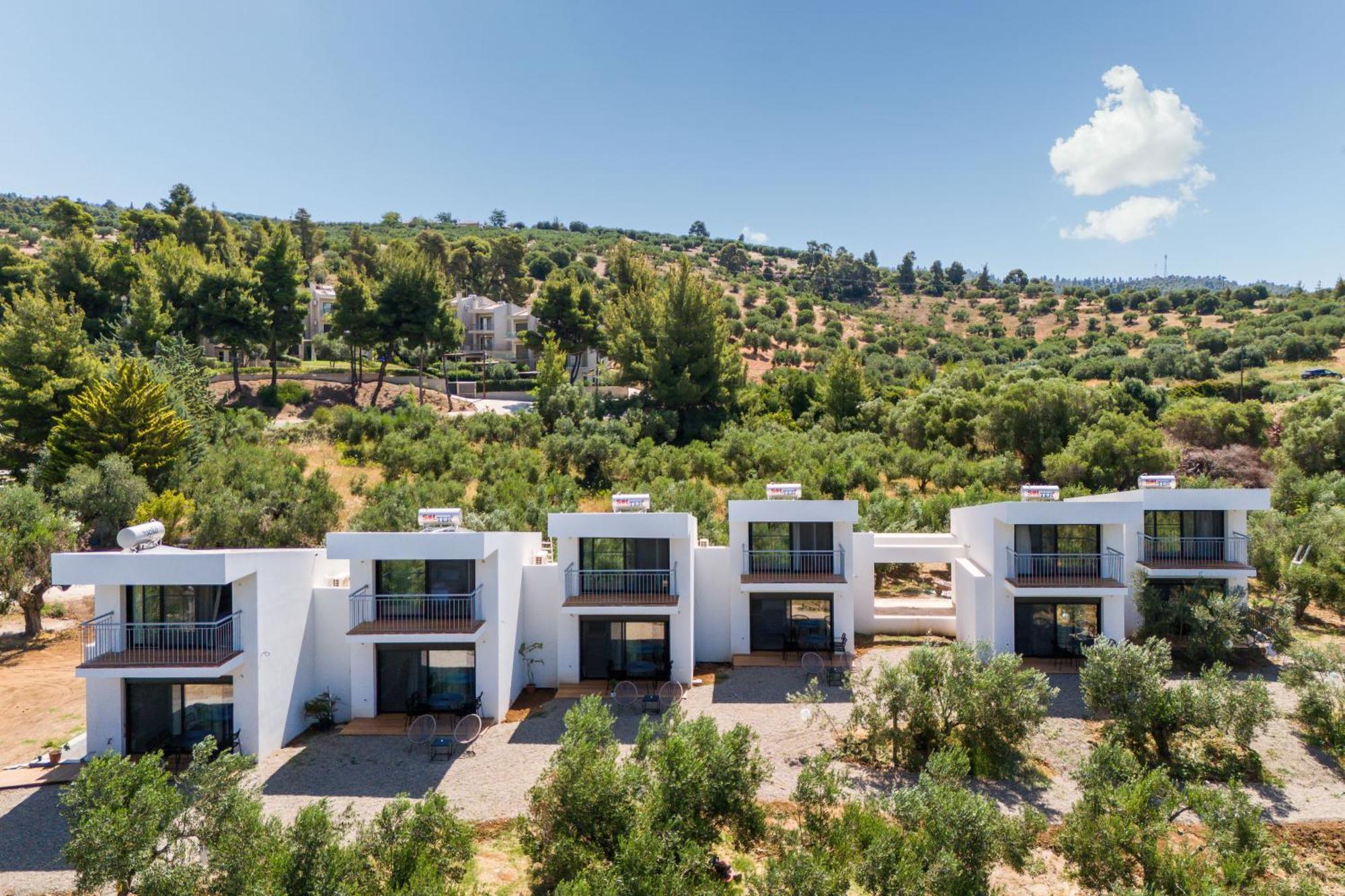 Olea Villas By Halu!, Cozy Villa In Nikiti 라고만드라 외부 사진