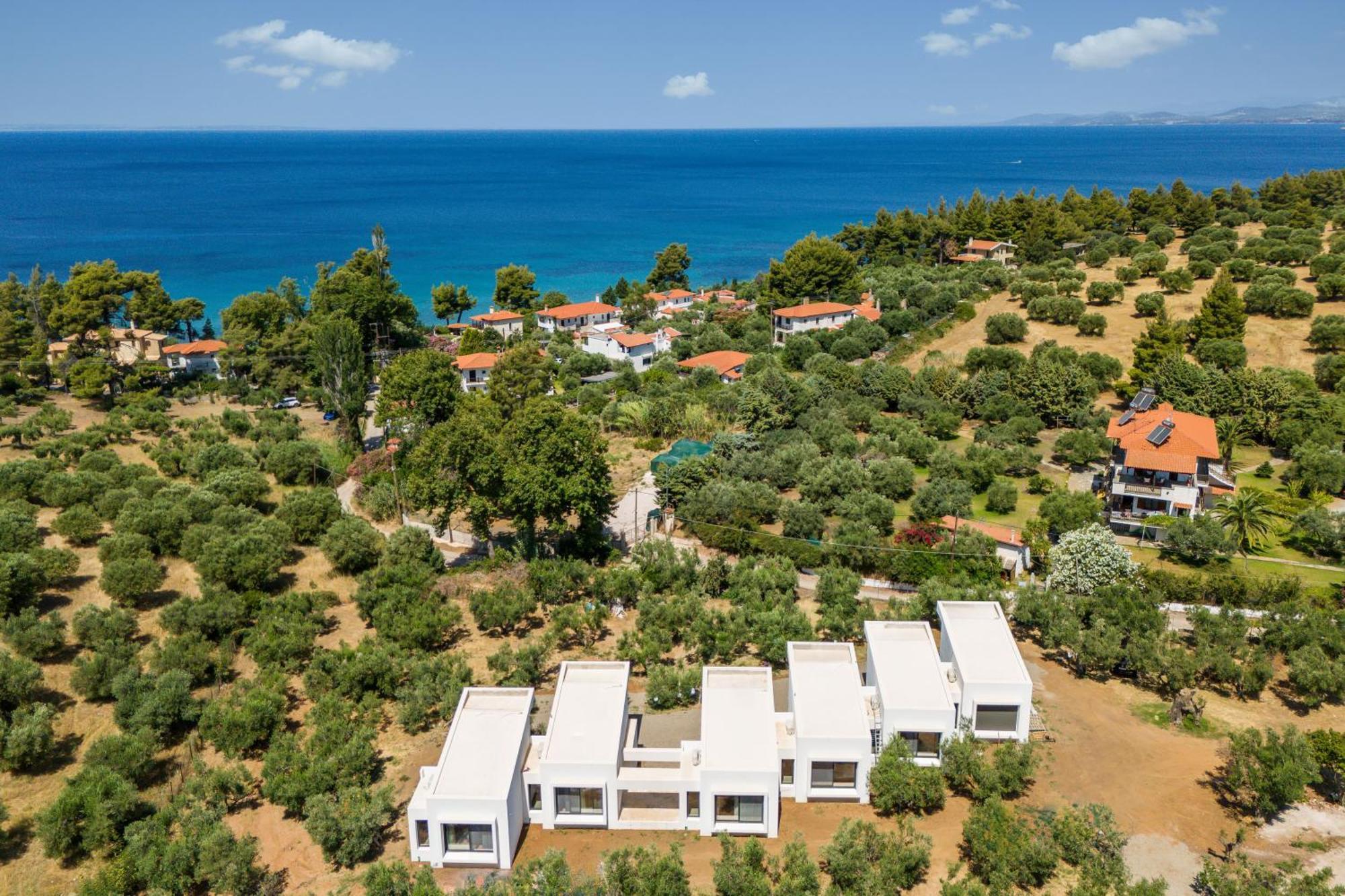 Olea Villas By Halu!, Cozy Villa In Nikiti 라고만드라 외부 사진
