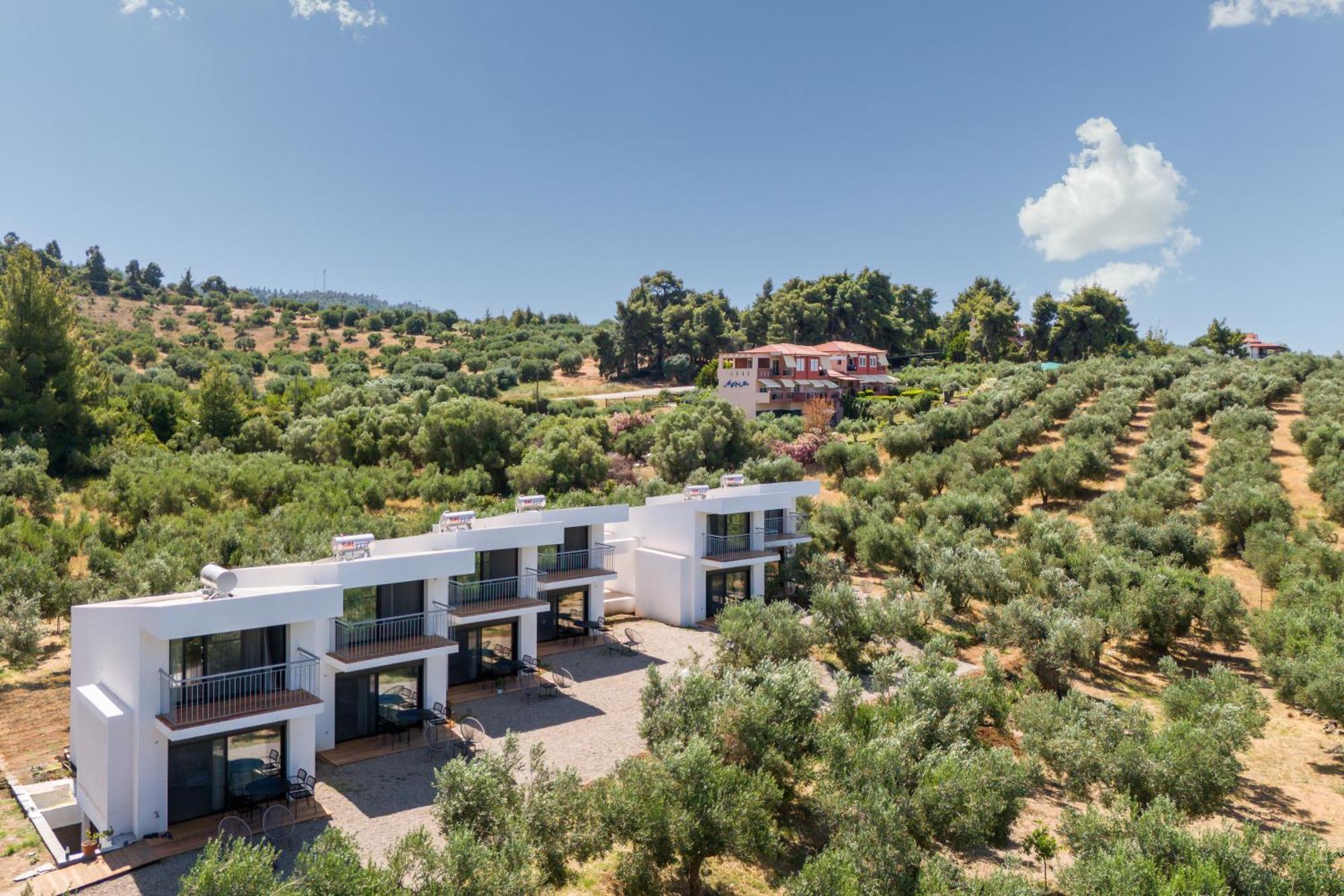 Olea Villas By Halu!, Cozy Villa In Nikiti 라고만드라 외부 사진
